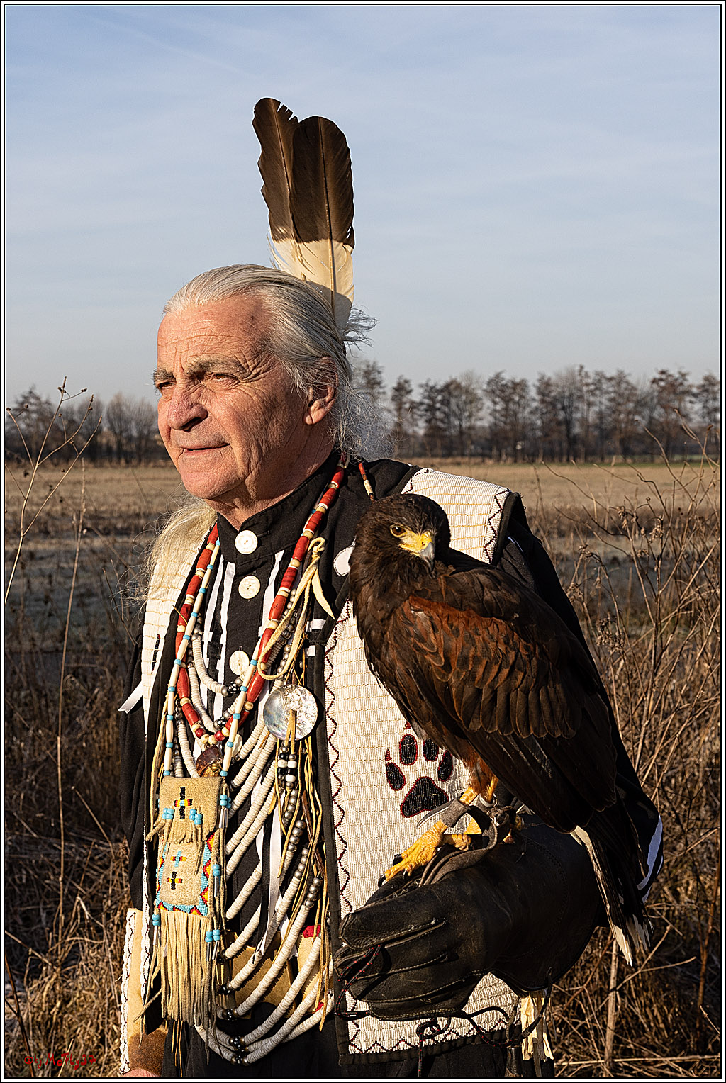 Cheyenne-Halbblut Hunting Wolf in der Falknerei Pierre Schmidt; Gymnich, 09.02.2023